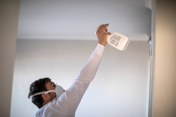 Best Post-Flood Mold Remediation in Athens, AL